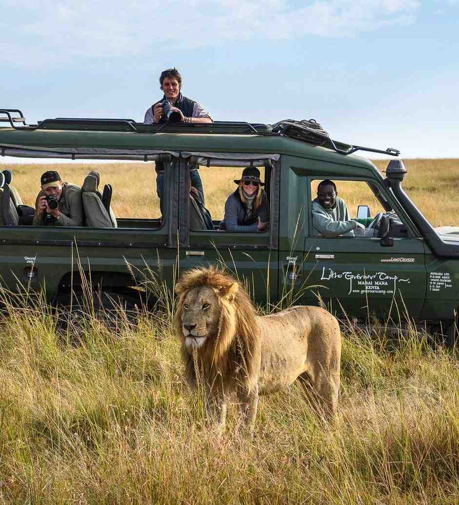 Desert Safaris