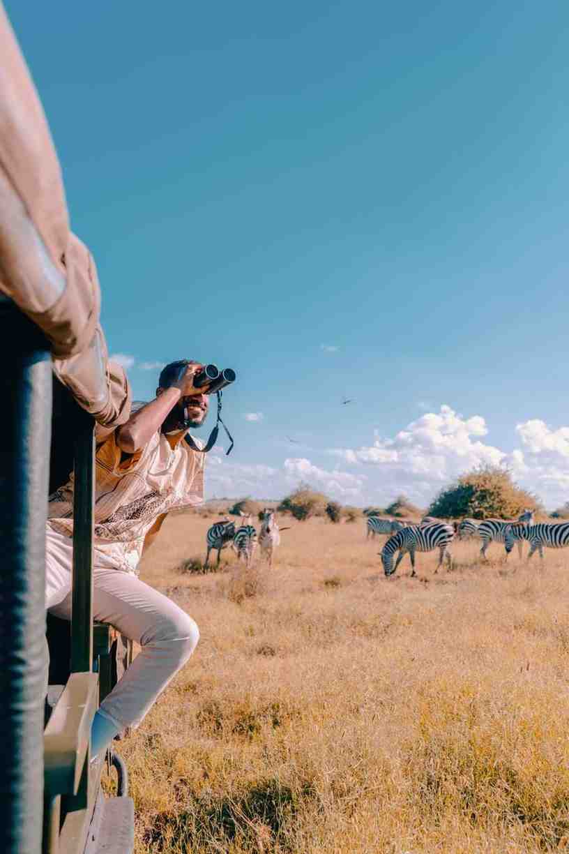 Wild Safaris Experience